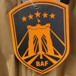 画像12: BAF Military Spec Level7 Type Jacket　　Color・Coyote (12)